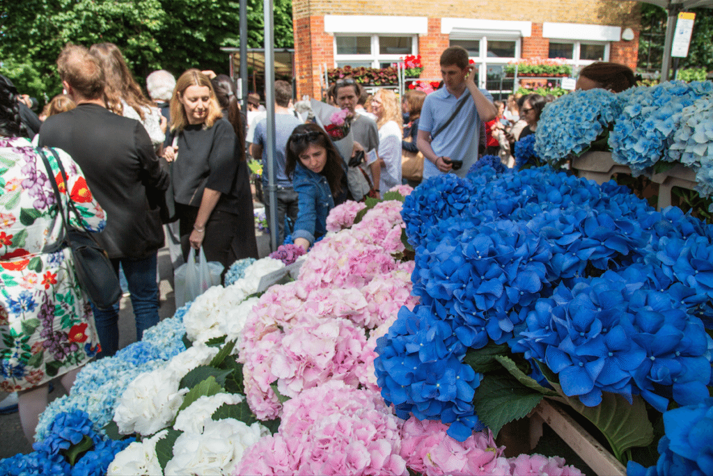Exploring London Bethnal Green & Columbia Road Flower Market Little