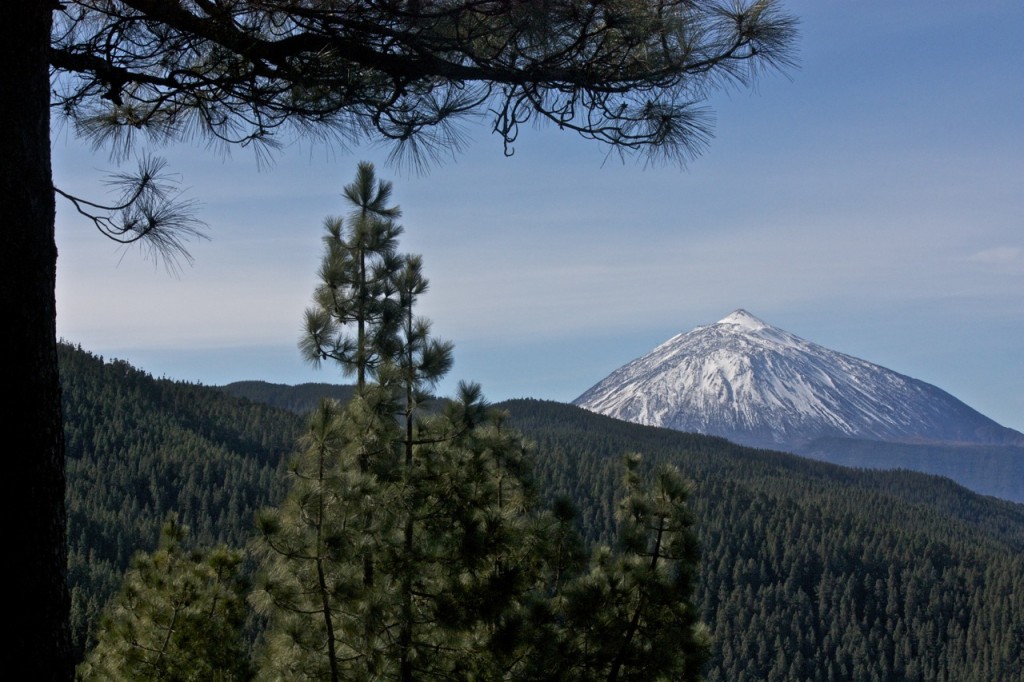 Tenerife, Canary Islands, Spain