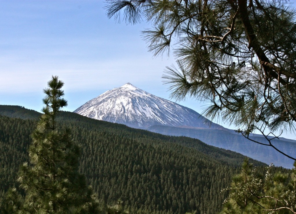 Tenerife, Canary Islands, Spain