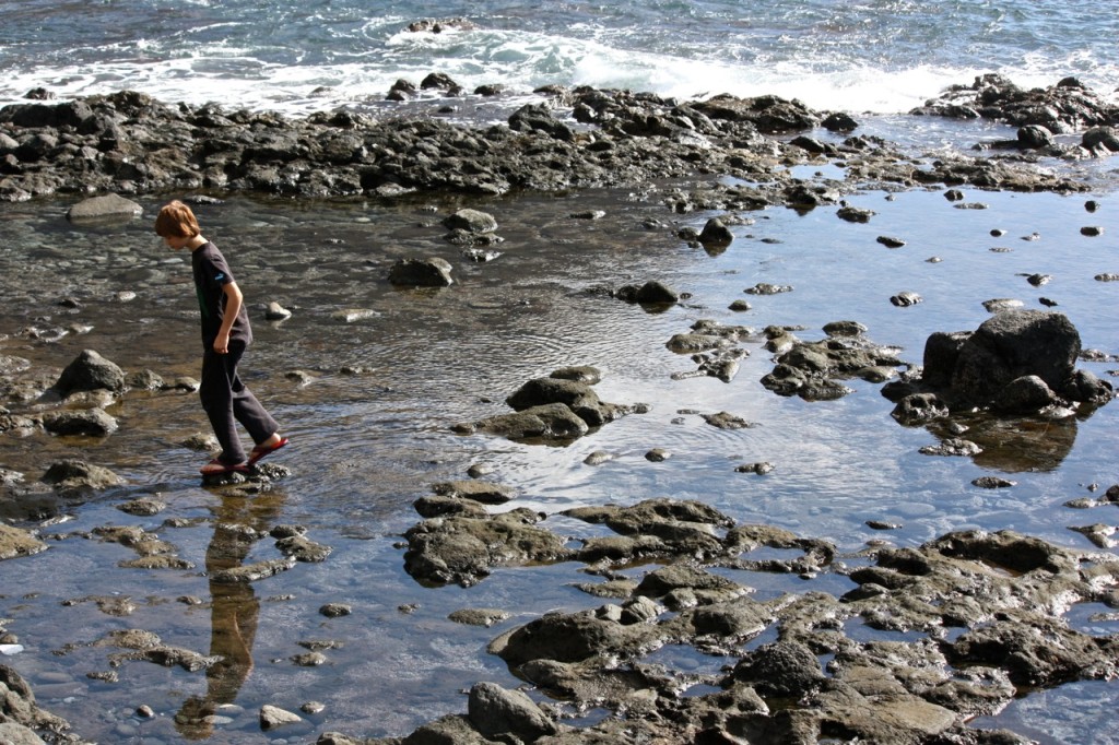 La Gomera, Canary Islands, Spain