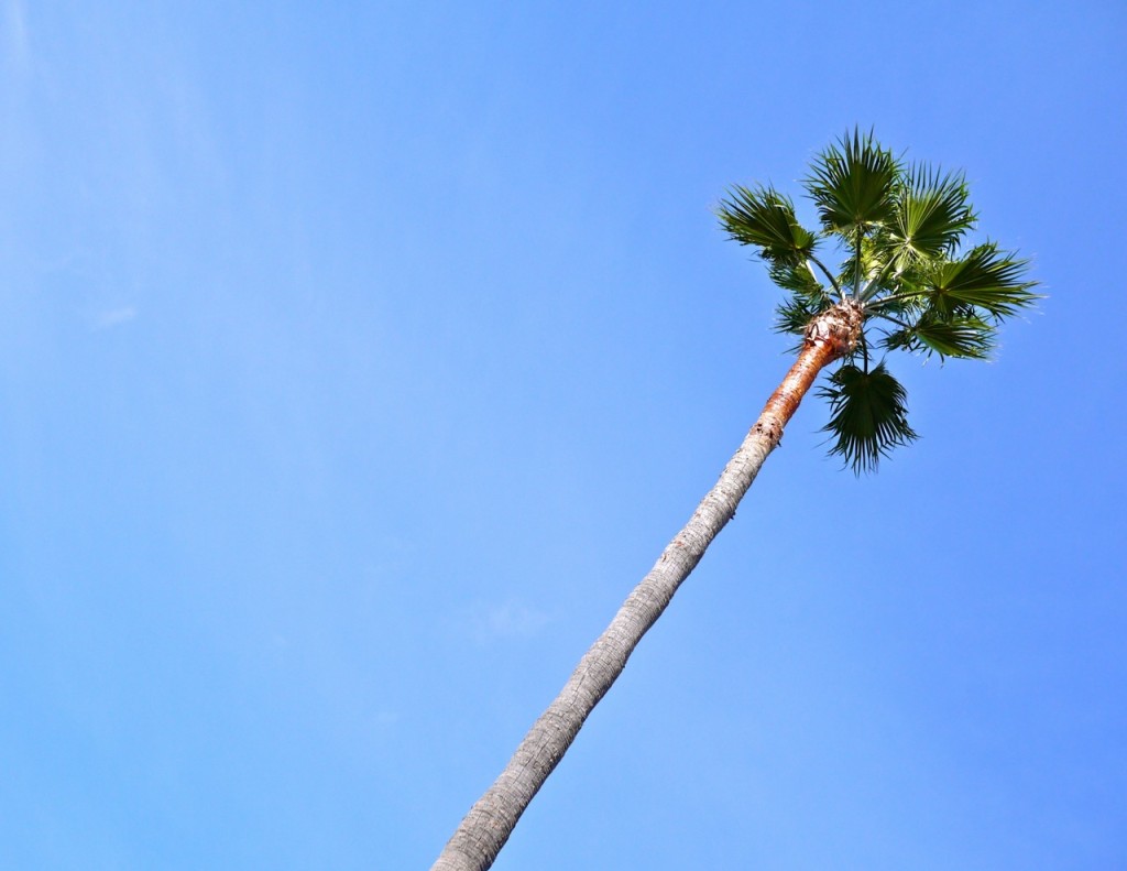 Tenerife, Canary Islands, Spain