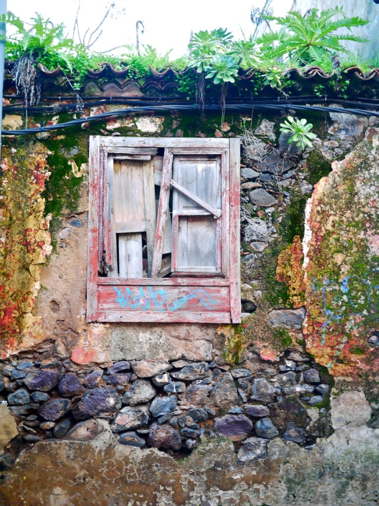 Tenerife, Canary Islands, Spain