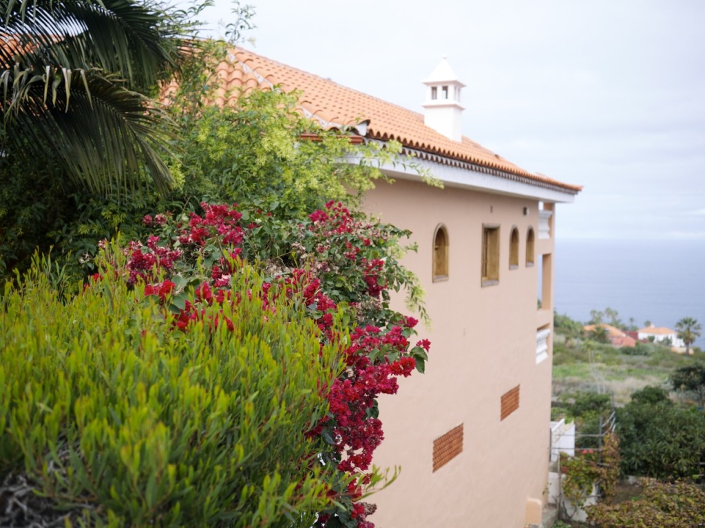 Tenerife, Canary Islands, Spain