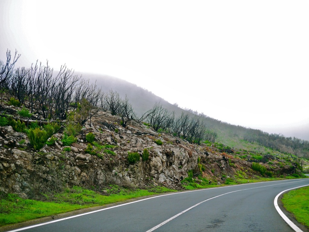 La Gomera, Canary Islands, Spain