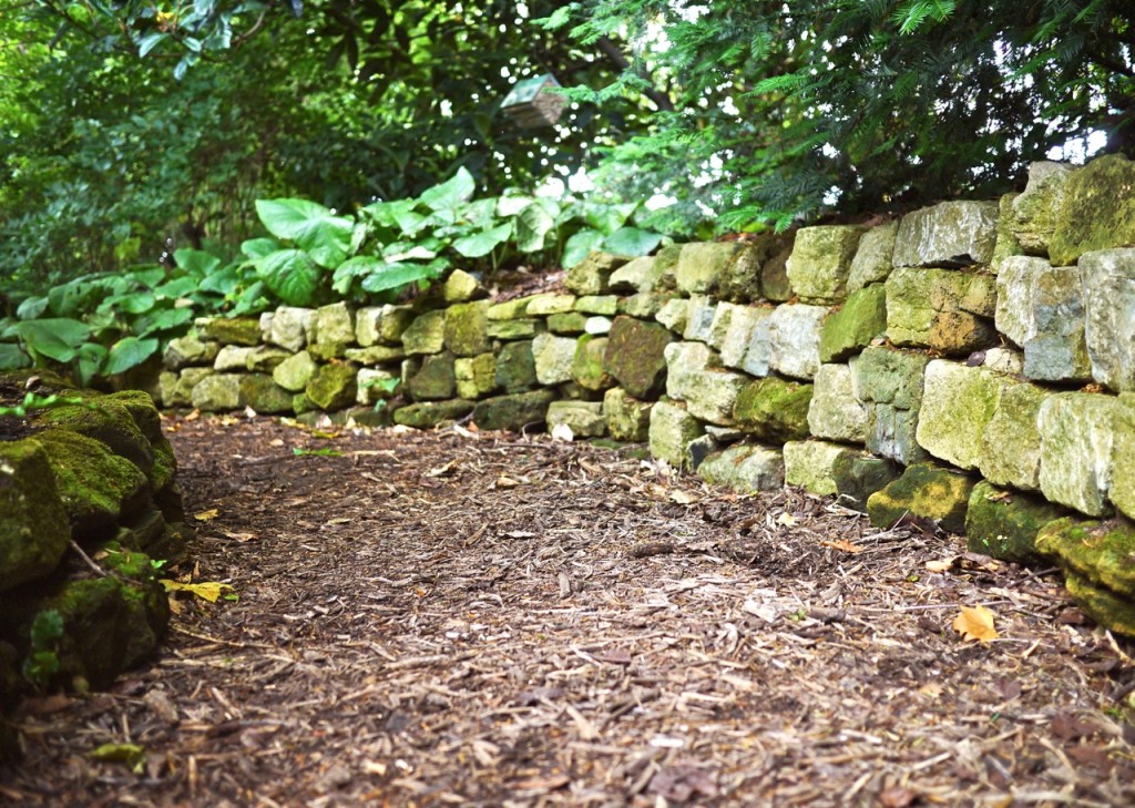 Chelsea Physic Garden, London