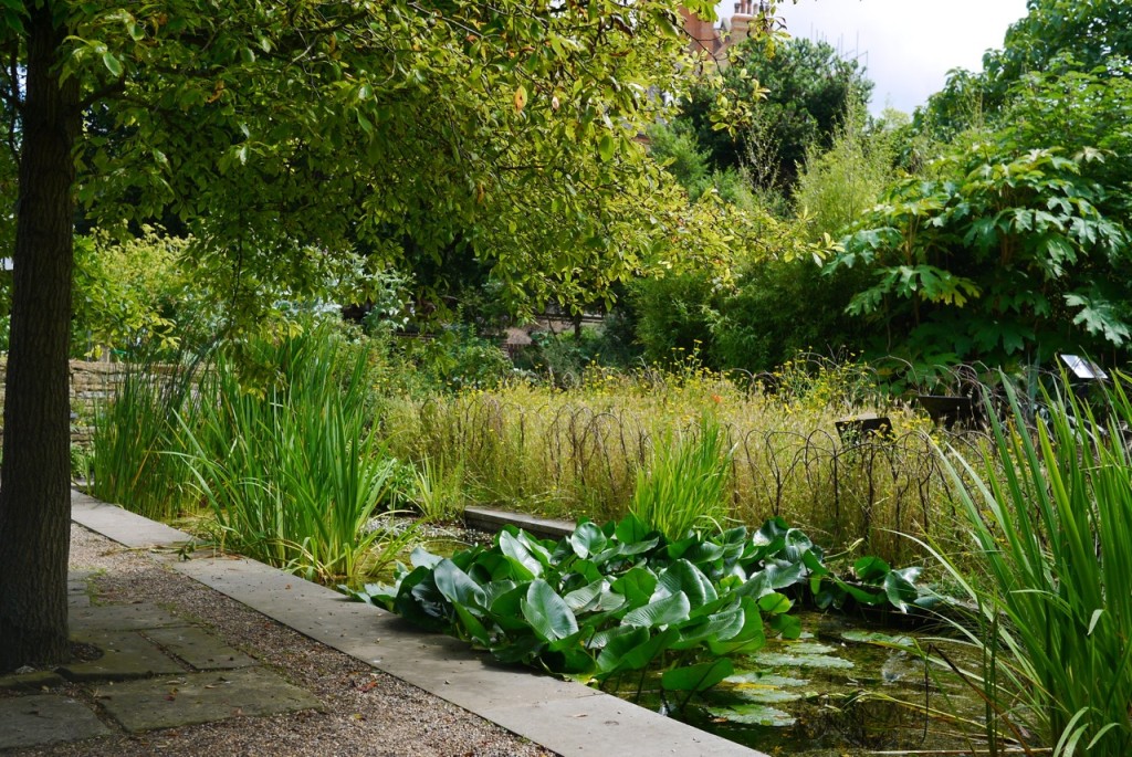 Chelsea Physic Garden, London