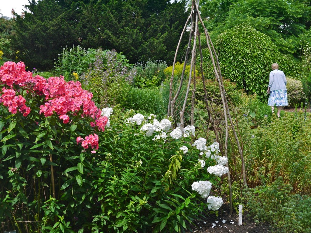 Chelsea Physic Garden, London