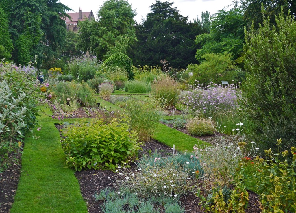 Chelsea Physic Garden, London