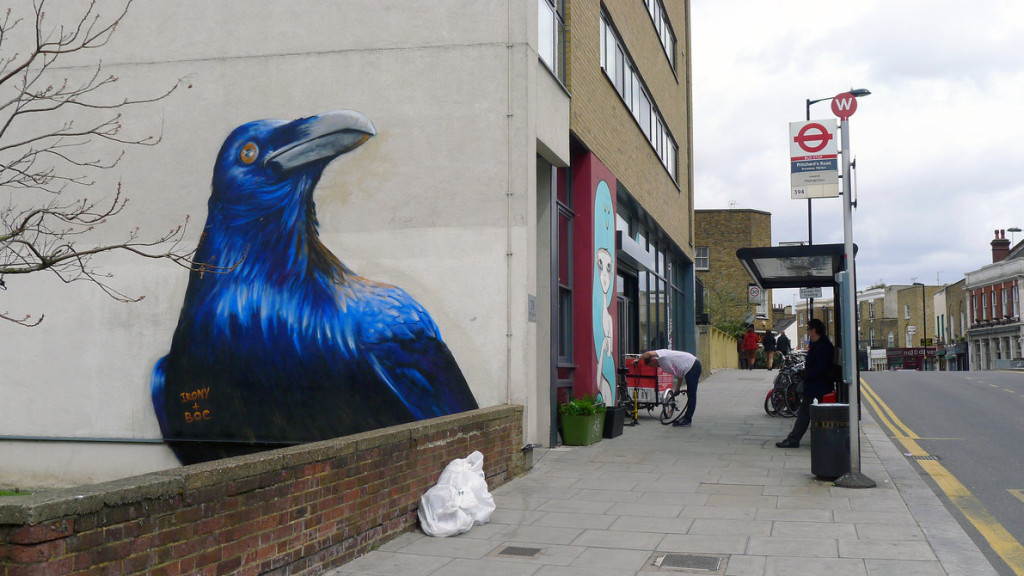 hackney_crow_by_whoam_irony-d62c3t4