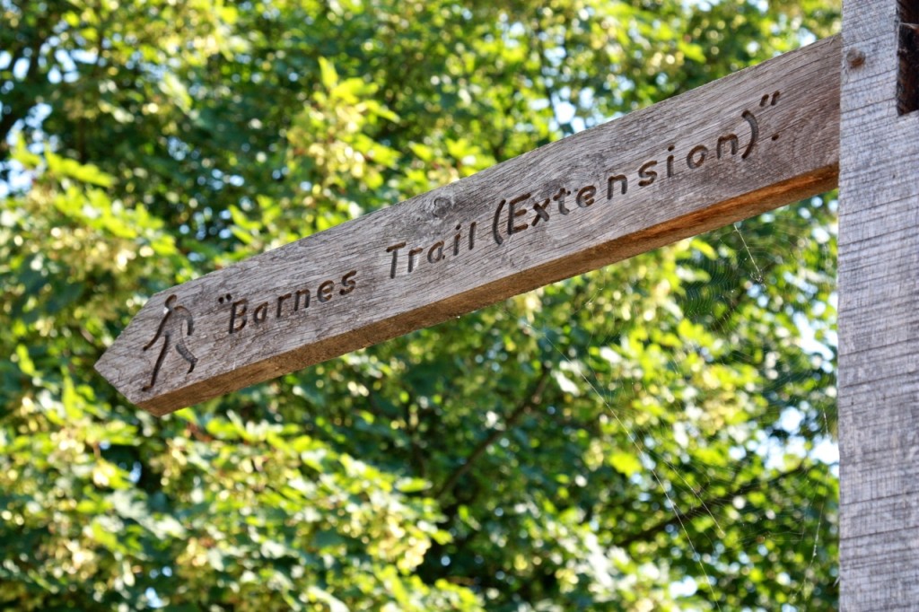 Thames Path, London