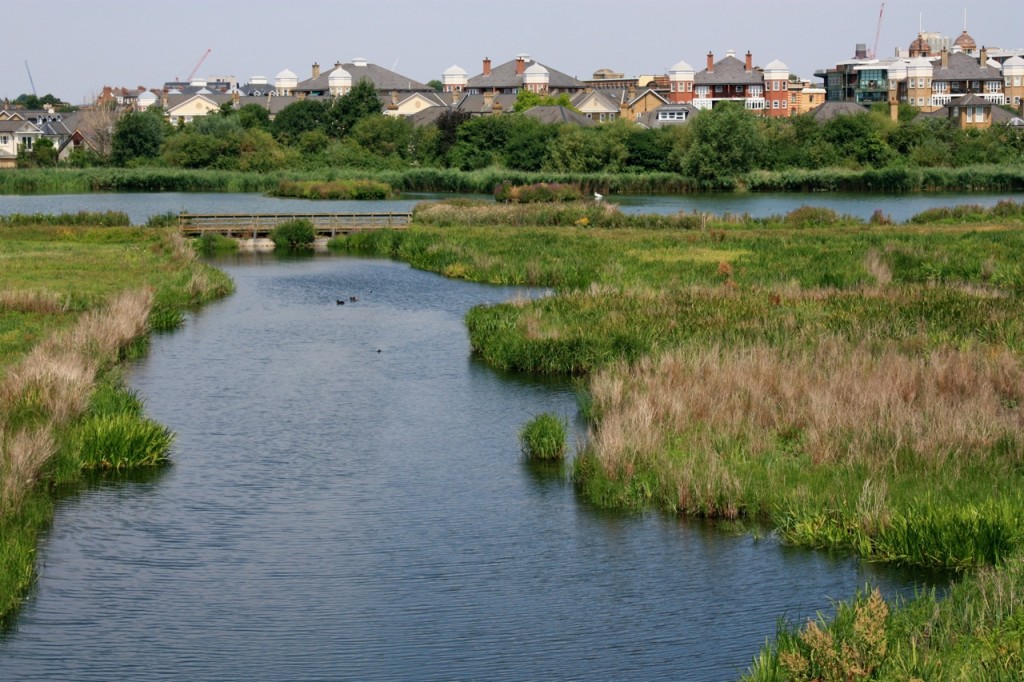 London Wetland Centre