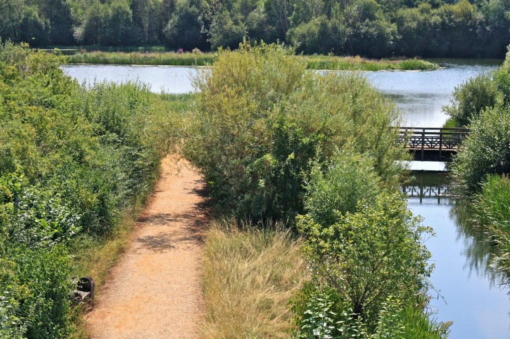 London Wetland Centre