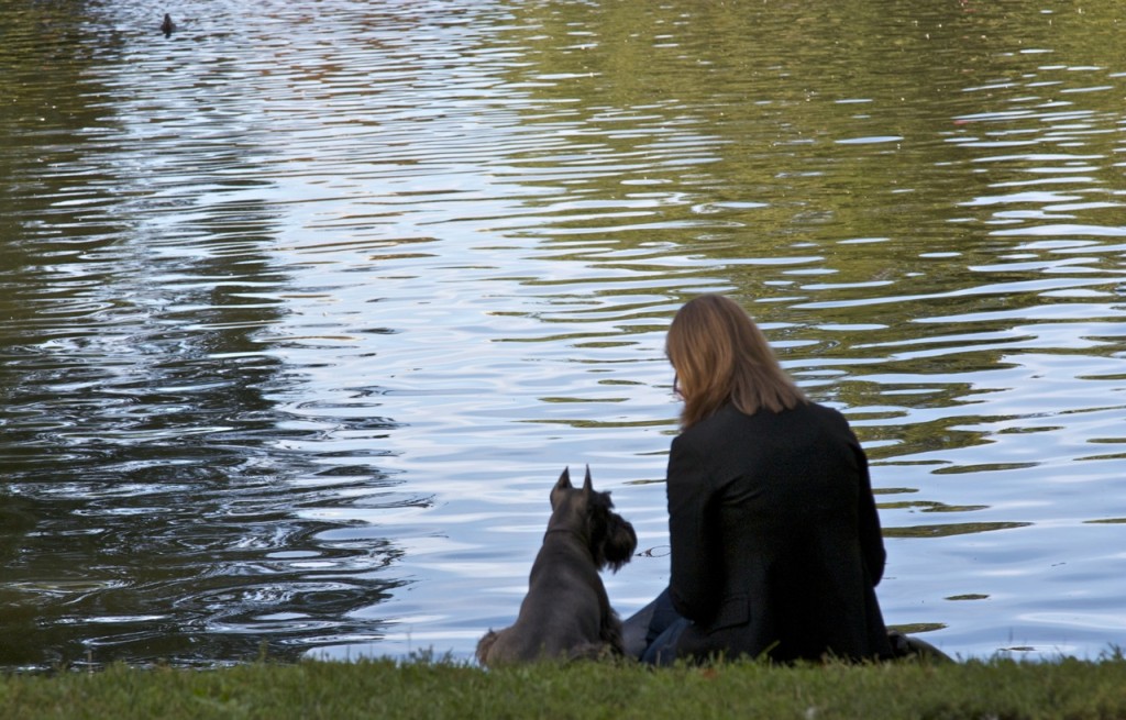 Boston by Stephanie Sadler, Little Observationist