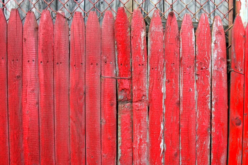 Boston by Stephanie Sadler, Little Observationist