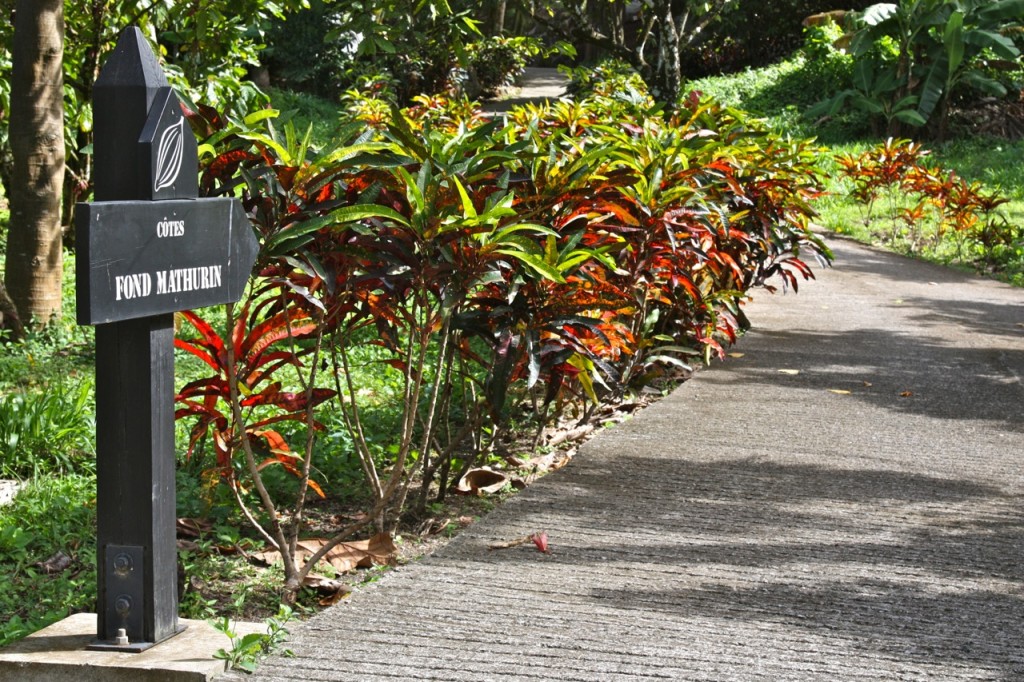 Saint Lucia, Rabot Estate, Saint Lucia by Stephanie Sadler