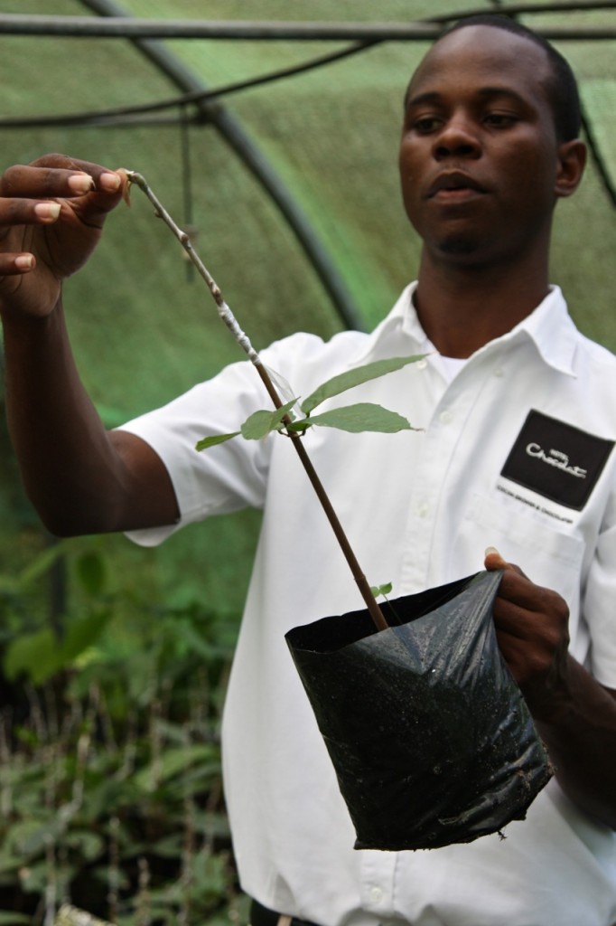 Saint Lucia, Rabot Estate, Hotel Chocolat by Stephanie Sadler