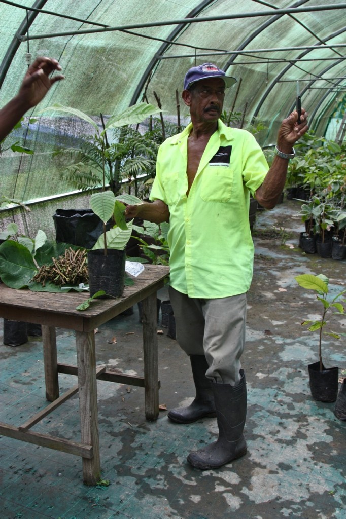 Saint Lucia, Rabot Estate, Hotel Chocolat by Stephanie Sadler