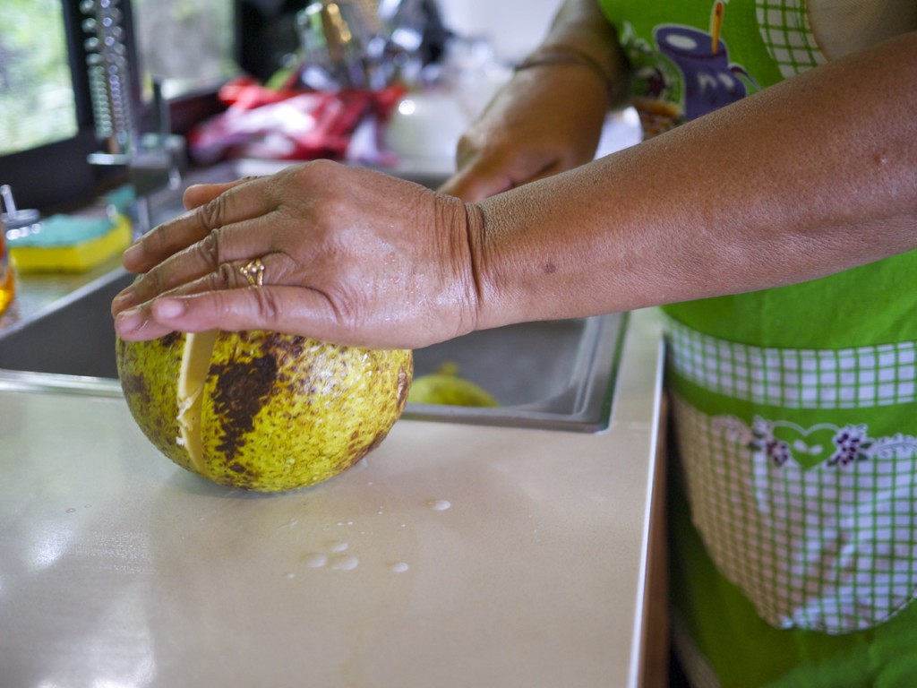 Saint Lucia by Stephanie Sadler, Little Observationist