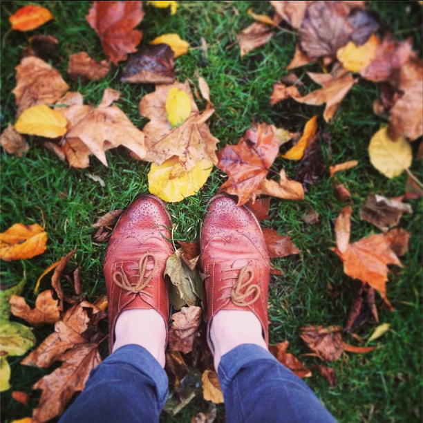 Autumn leaves in London by Stephanie Sadler