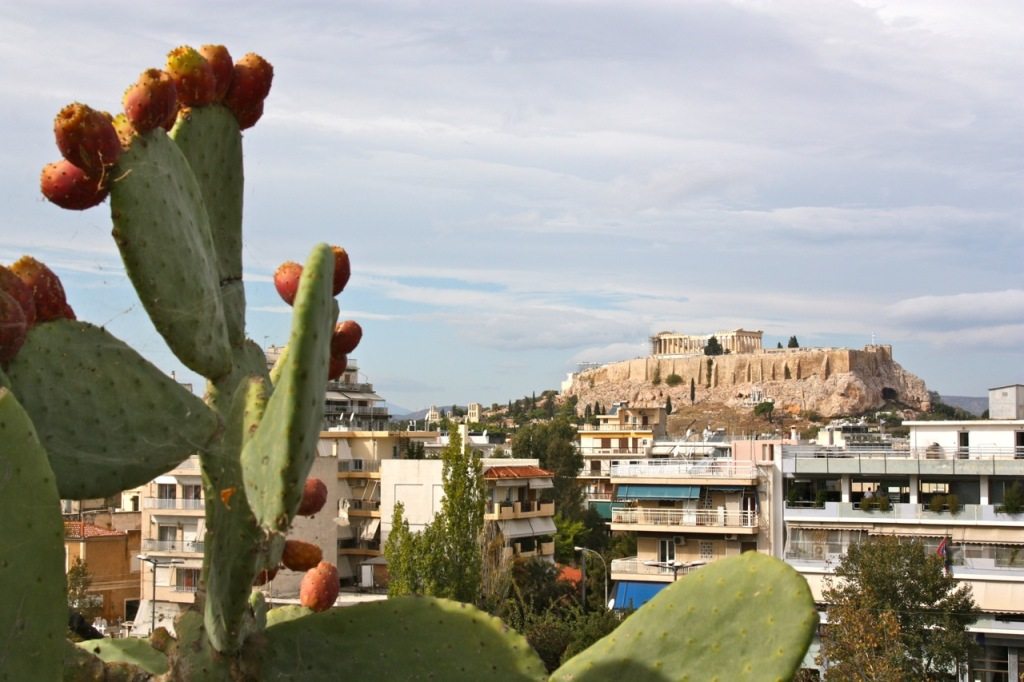 First Cemetery, Athens by Stephanie Sadler