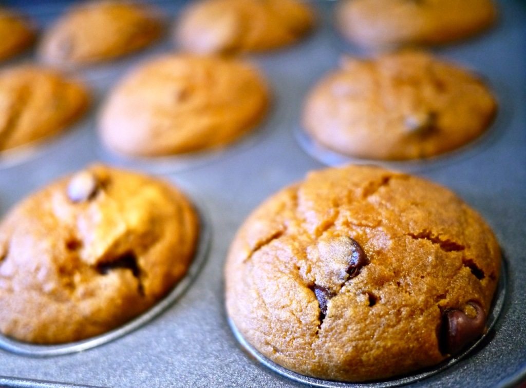 Recipe Pumpkin Chocolate Chip Muffins on Little Observationist