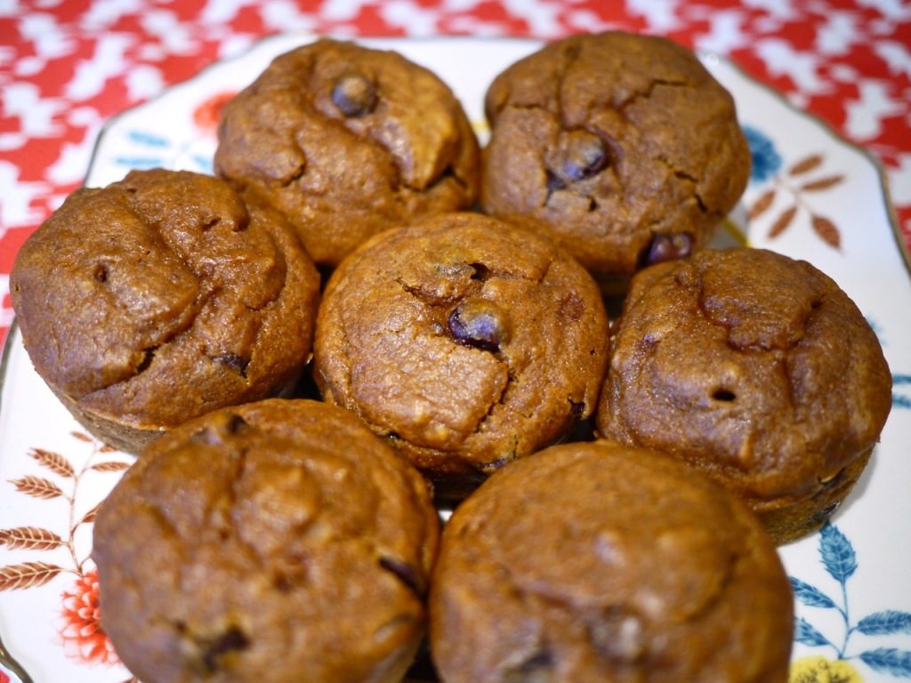 Recipe Pumpkin Chocolate Chip Muffins on Little Observationist