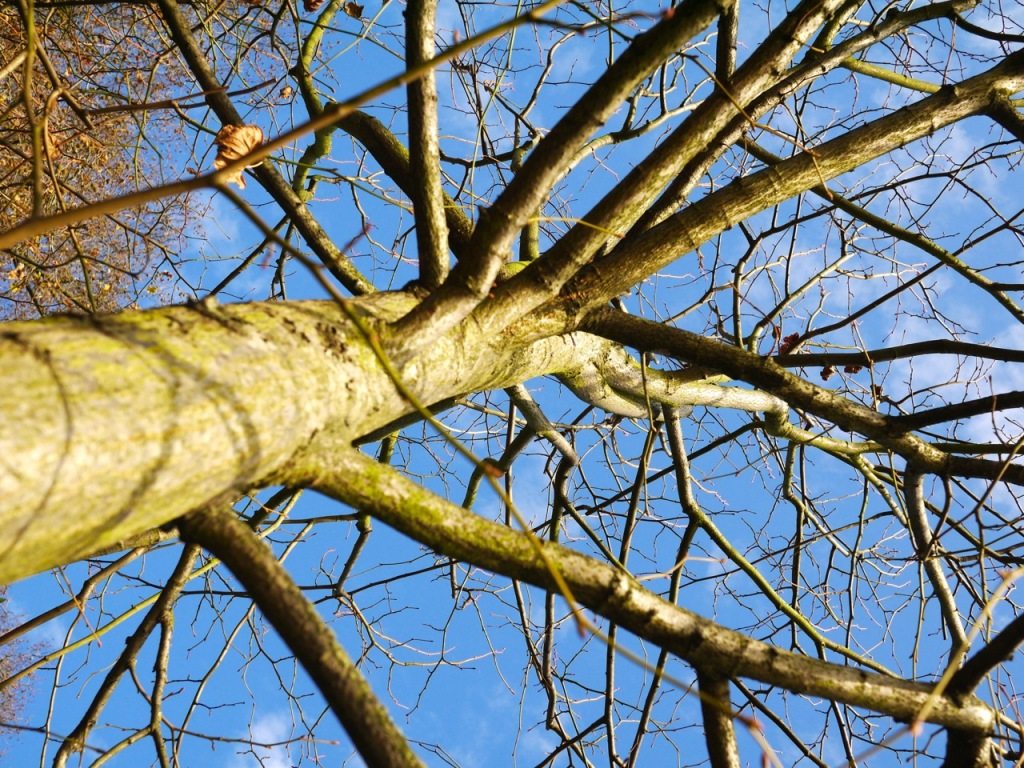 Autumn in London by Stephanie Sadler, Little Observationist