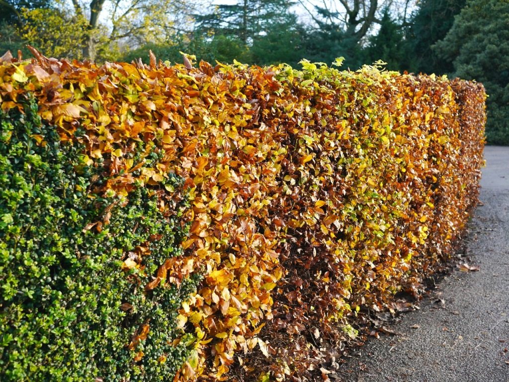 Autumn in London by Stephanie Sadler, Little Observationist