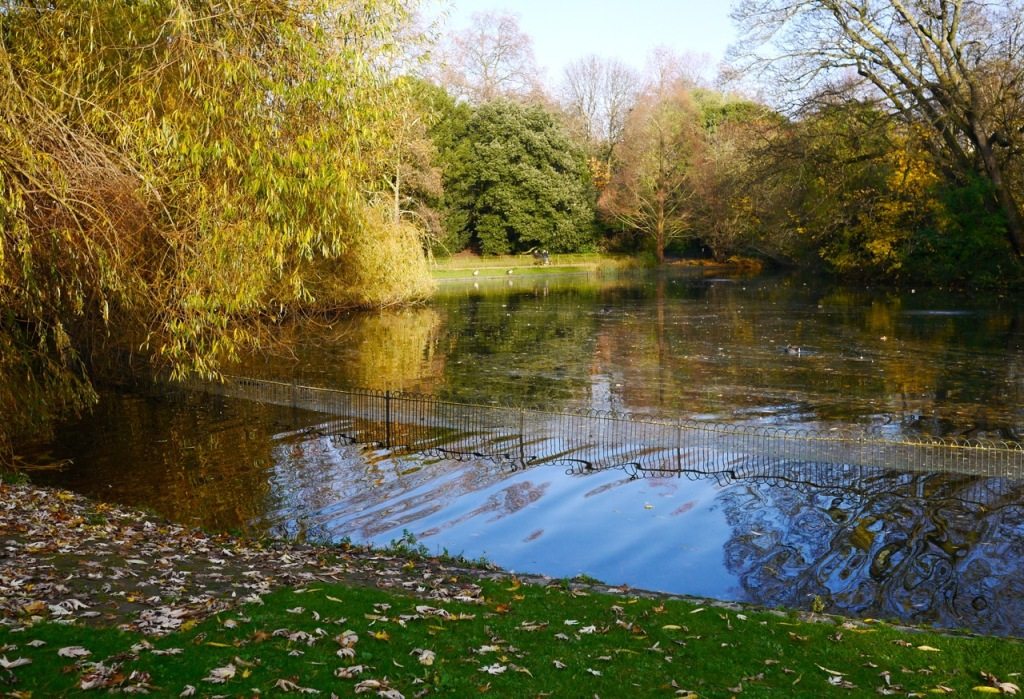 Autumn in London by Stephanie Sadler, Little Observationist