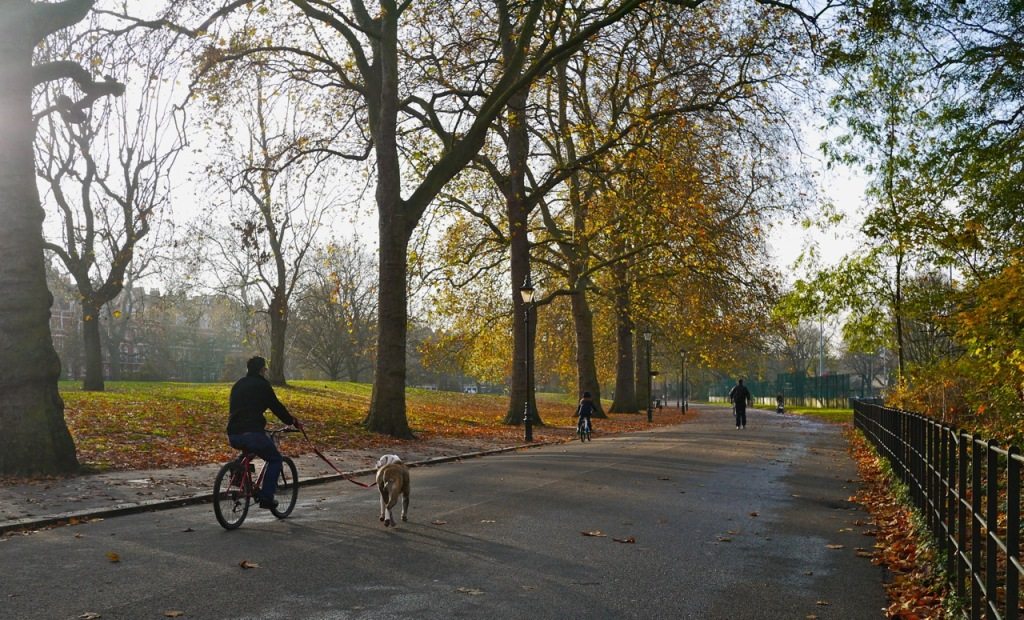 Autumn in London by Stephanie Sadler, Little Observationist