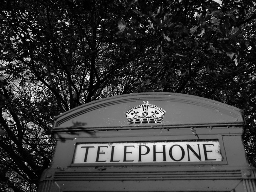 Autumn in London by Stephanie Sadler, Little Observationist