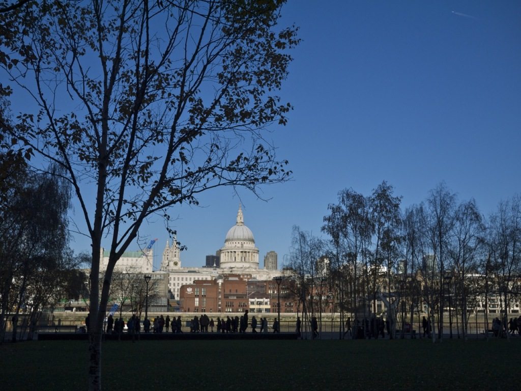 London by Stephanie Sadler, Little Observationist