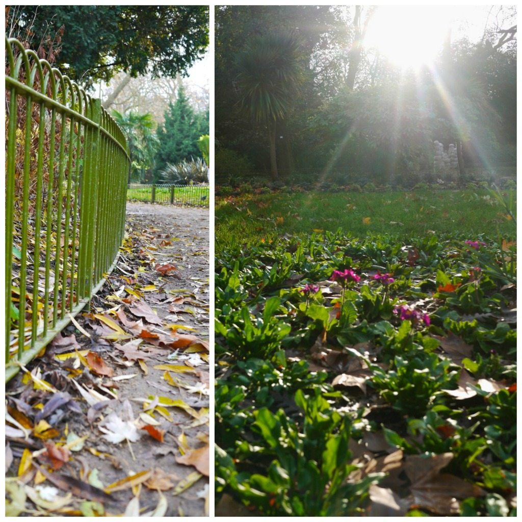 Autumn in London by Stephanie Sadler, Little Observationist