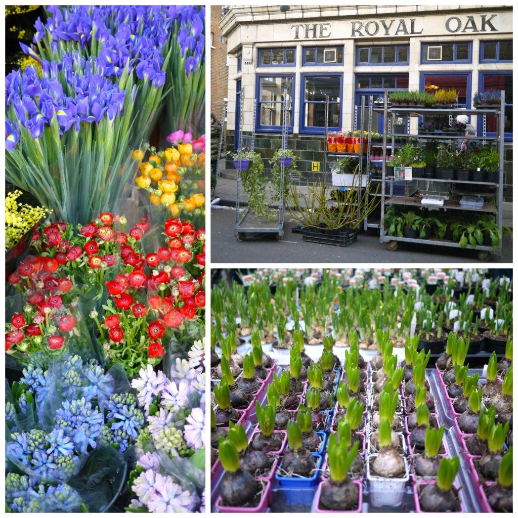 Columbia Road Flower Market, Stephanie Sadler, Little Observationist