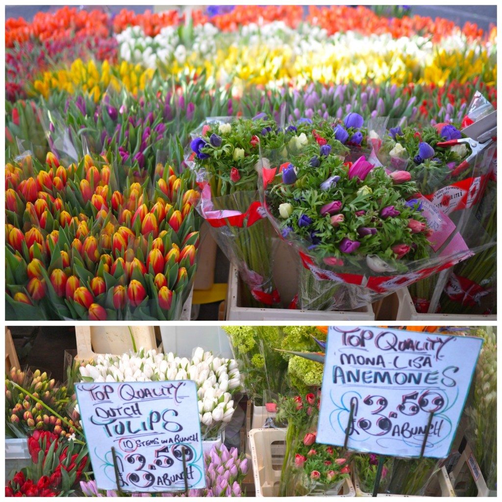 Columbia Road Flower Market, Stephanie Sadler, Little Observationist