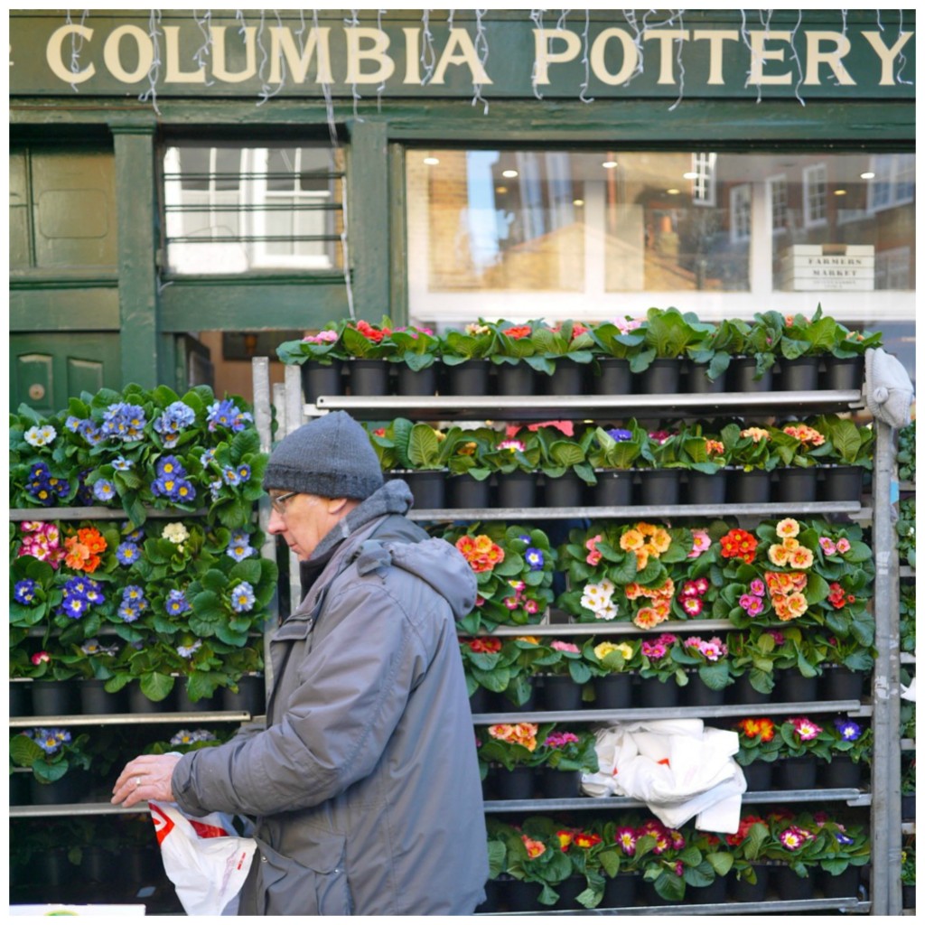 Columbia Road Flower Market, Stephanie Sadler, Little Observationist