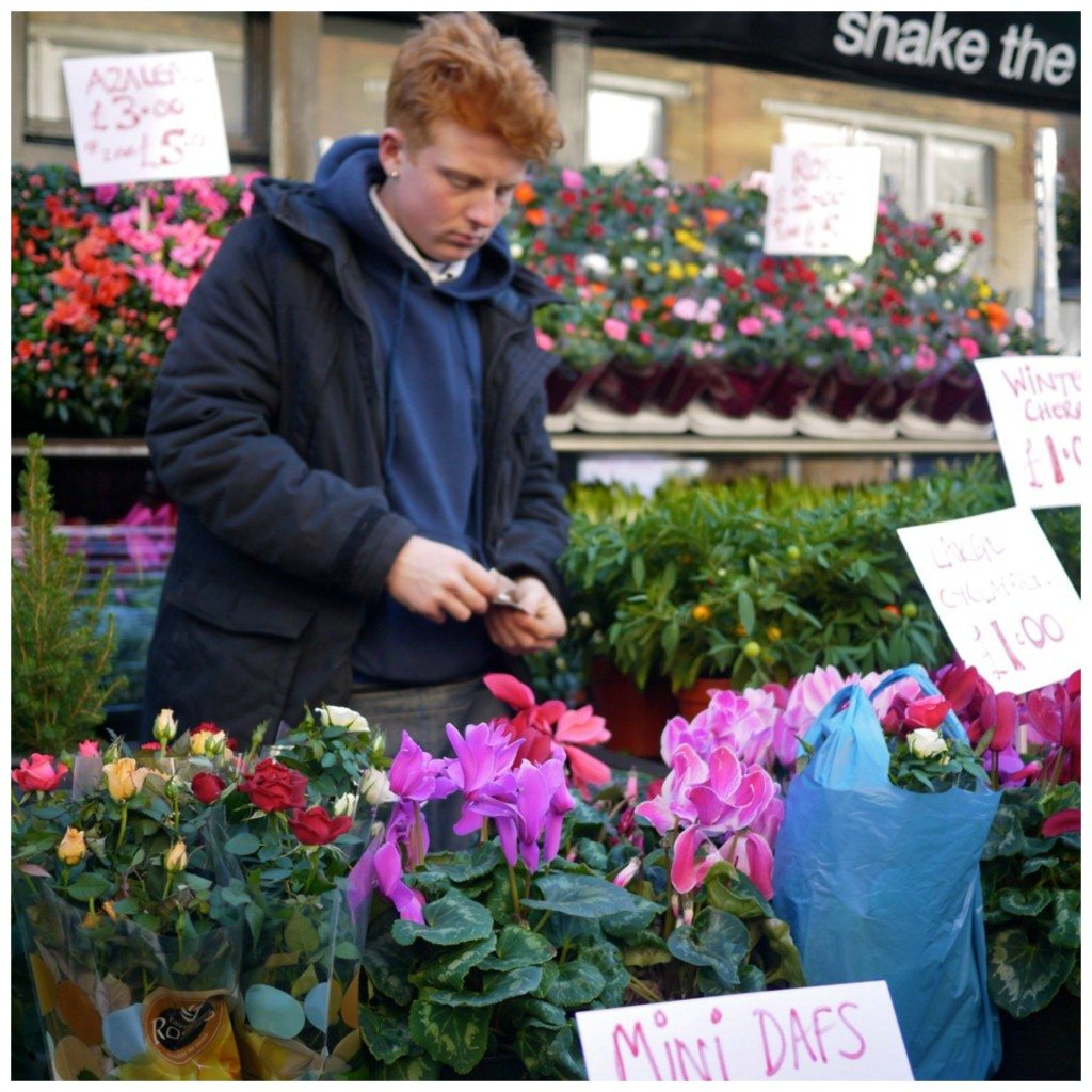 Columbia Road Flower Market, Stephanie Sadler, Little Observationist