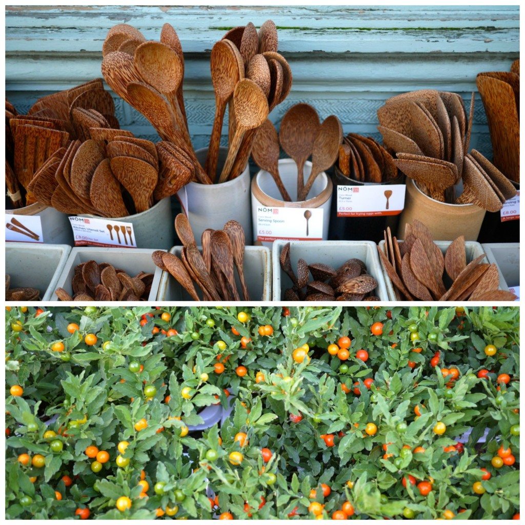 Columbia Road Flower Market, Stephanie Sadler, Little Observationist