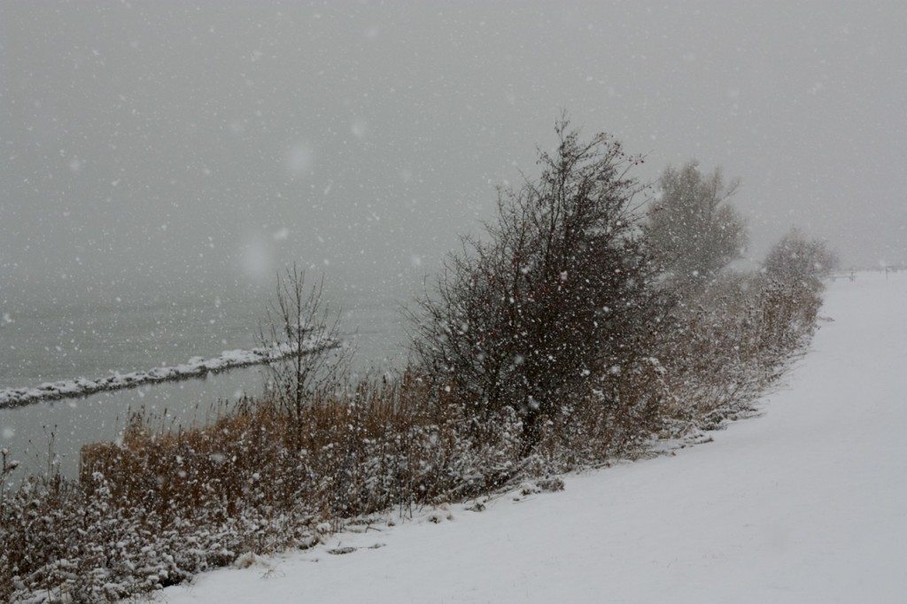 Stephanie Sadler, Little Observationist, Niagara River