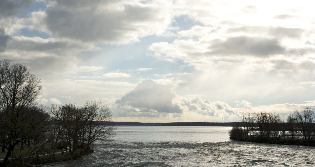 Stephanie Sadler, Little Observationist, Niagara River