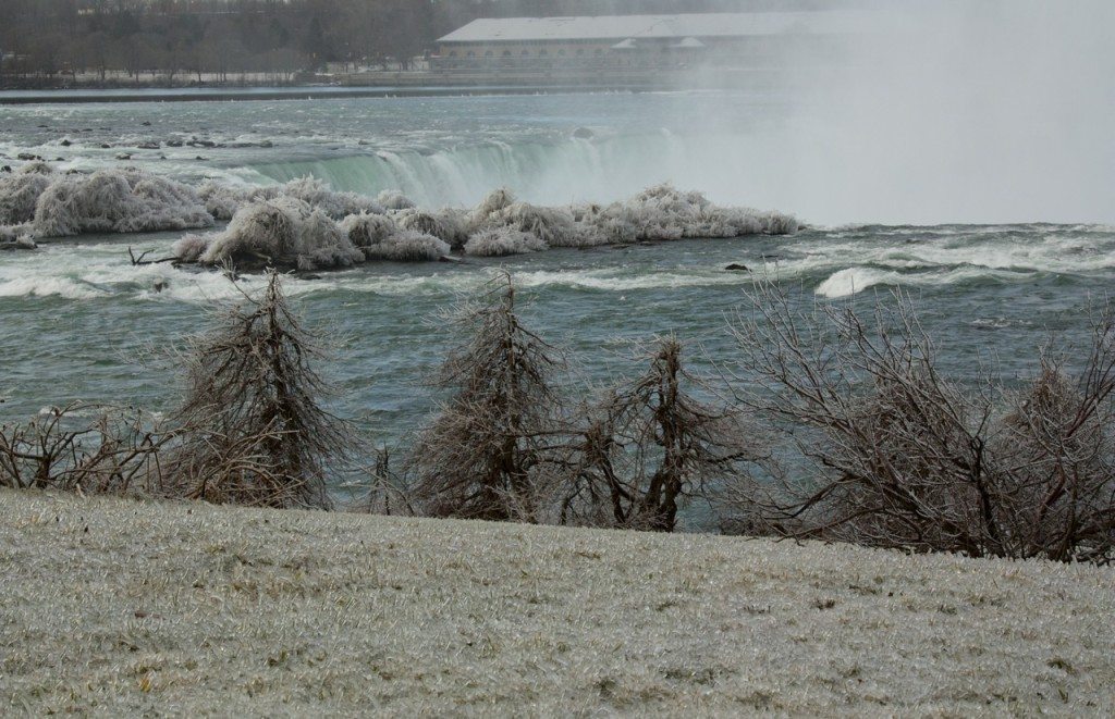 Stephanie Sadler, Little Observationist, Niagara River