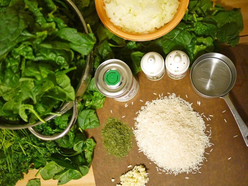 Stephanie Sadler, Little Observationist - Spinach and Rice Recipe