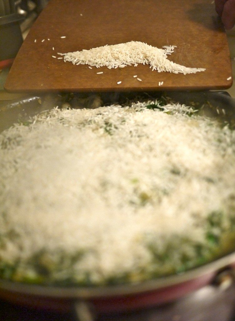 Stephanie Sadler, Little Observationist - Spinach and Rice Recipe