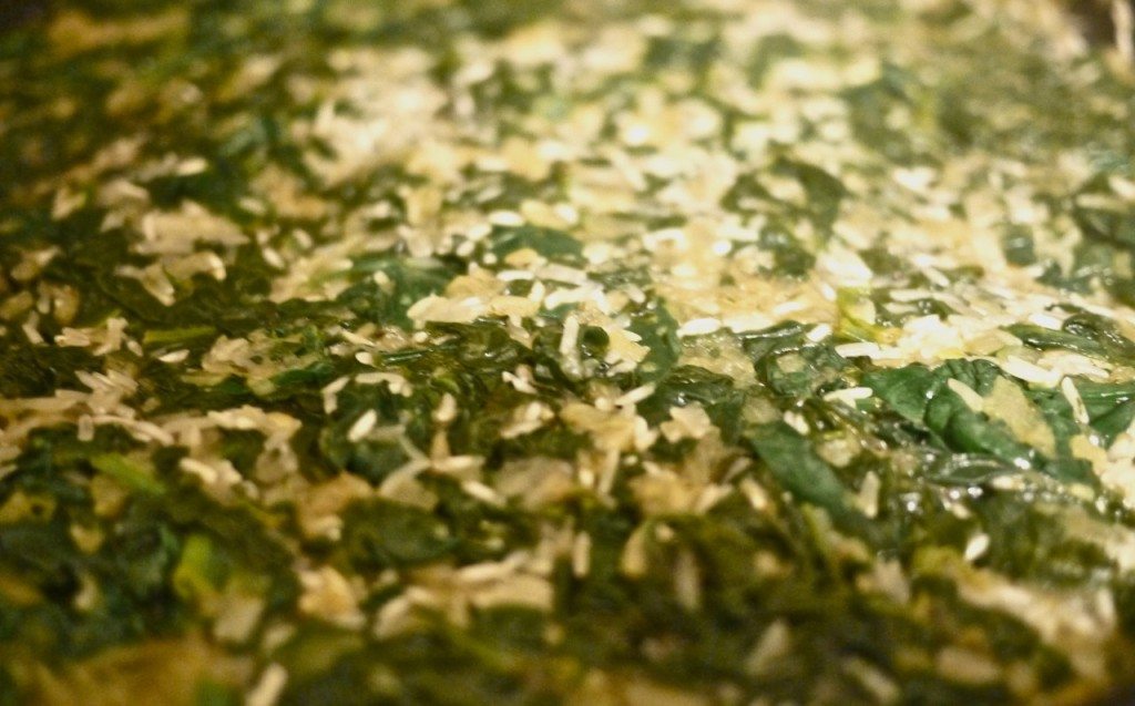 Stephanie Sadler, Little Observationist - Spinach and Rice Recipe