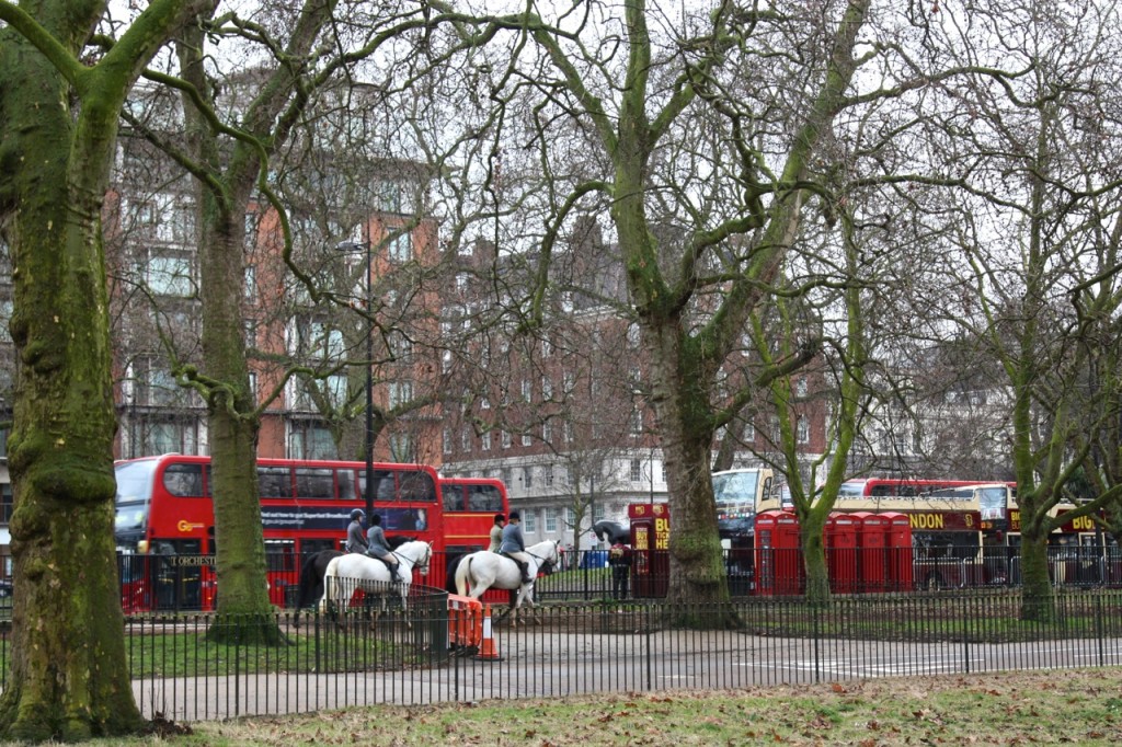 London by Stephanie Sadler, Little Observationist