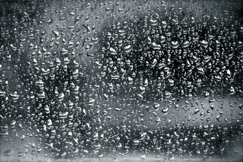 Rainy London by Stephanie Sadler, Little Observationist