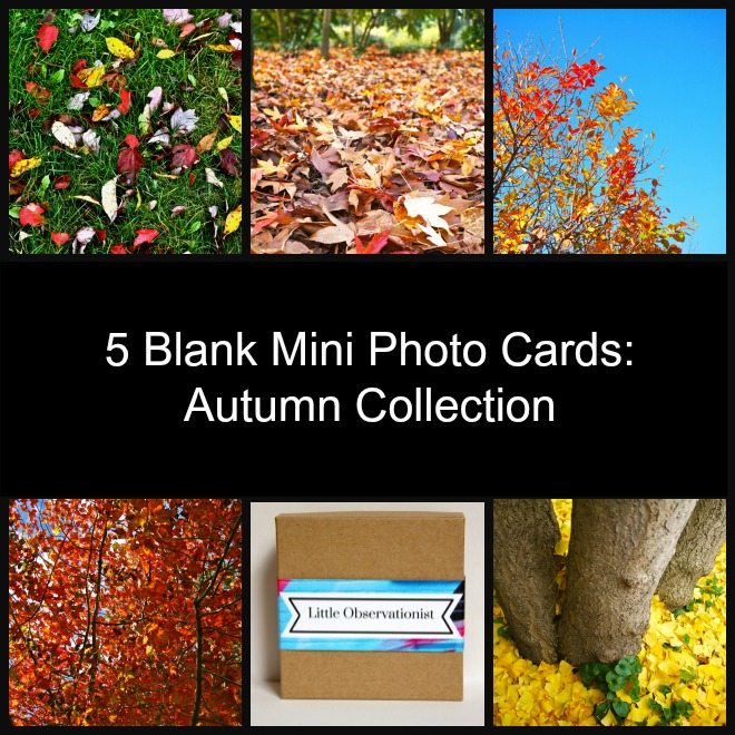 Little Observationist Mini Photo Cards - Autumn Collection