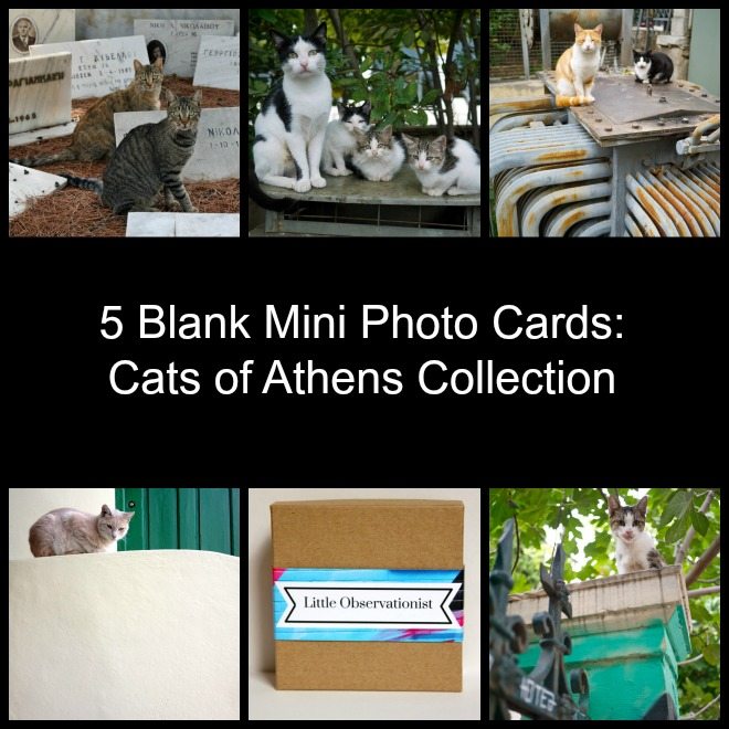 Little Observationist Mini Photo Cards - Cats of Athens Collection