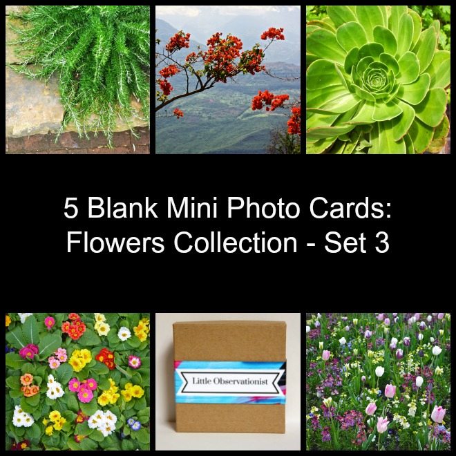 Little Observationist Mini Photo Cards - Flowers Collection - Set 3