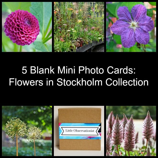 Little Observationist Mini Photo Cards - Flowers in Stockholm Collection